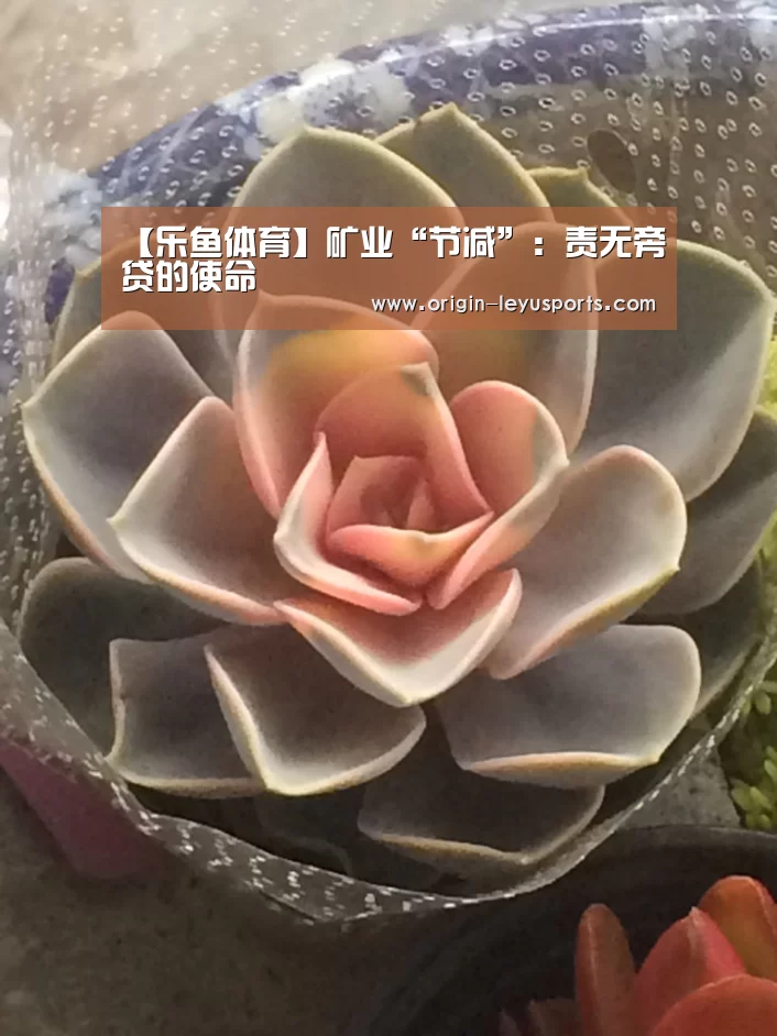 【乐鱼体育】矿业“节减”：责无旁贷的使命