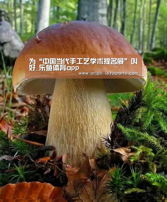 为“中国当代手工艺学术提名展”叫好_乐鱼体育app