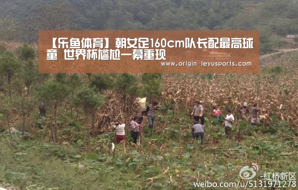 【乐鱼体育】朝女足160cm队长配最高球童 世界杯尴尬一幕重